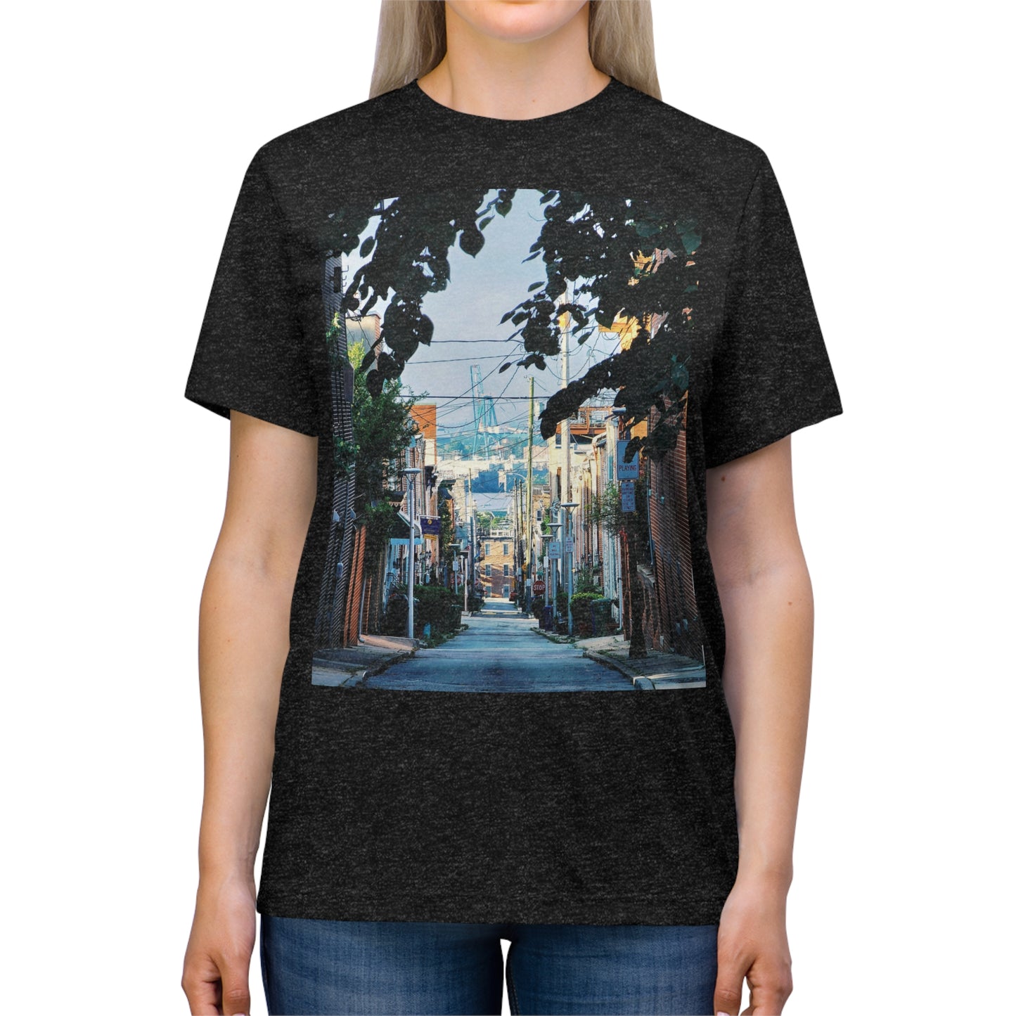 Baltimore City Highland Unisex ArtShirt