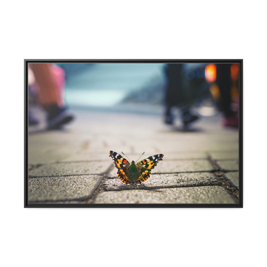 Graphic Design Butterfly on Landed on Sidewalk on Canvas.