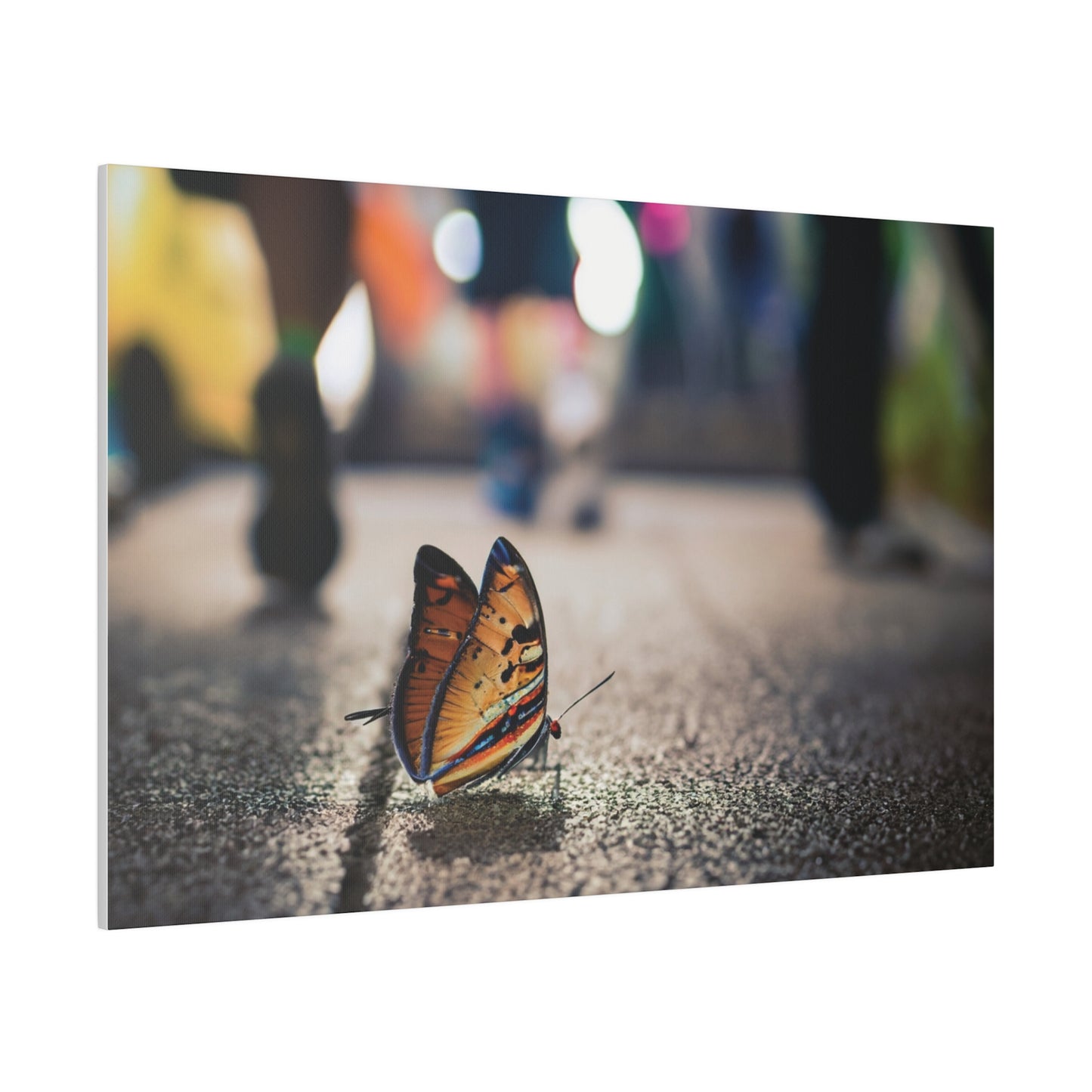 Graphic Design Butterfly on Sidewalk on Canvas