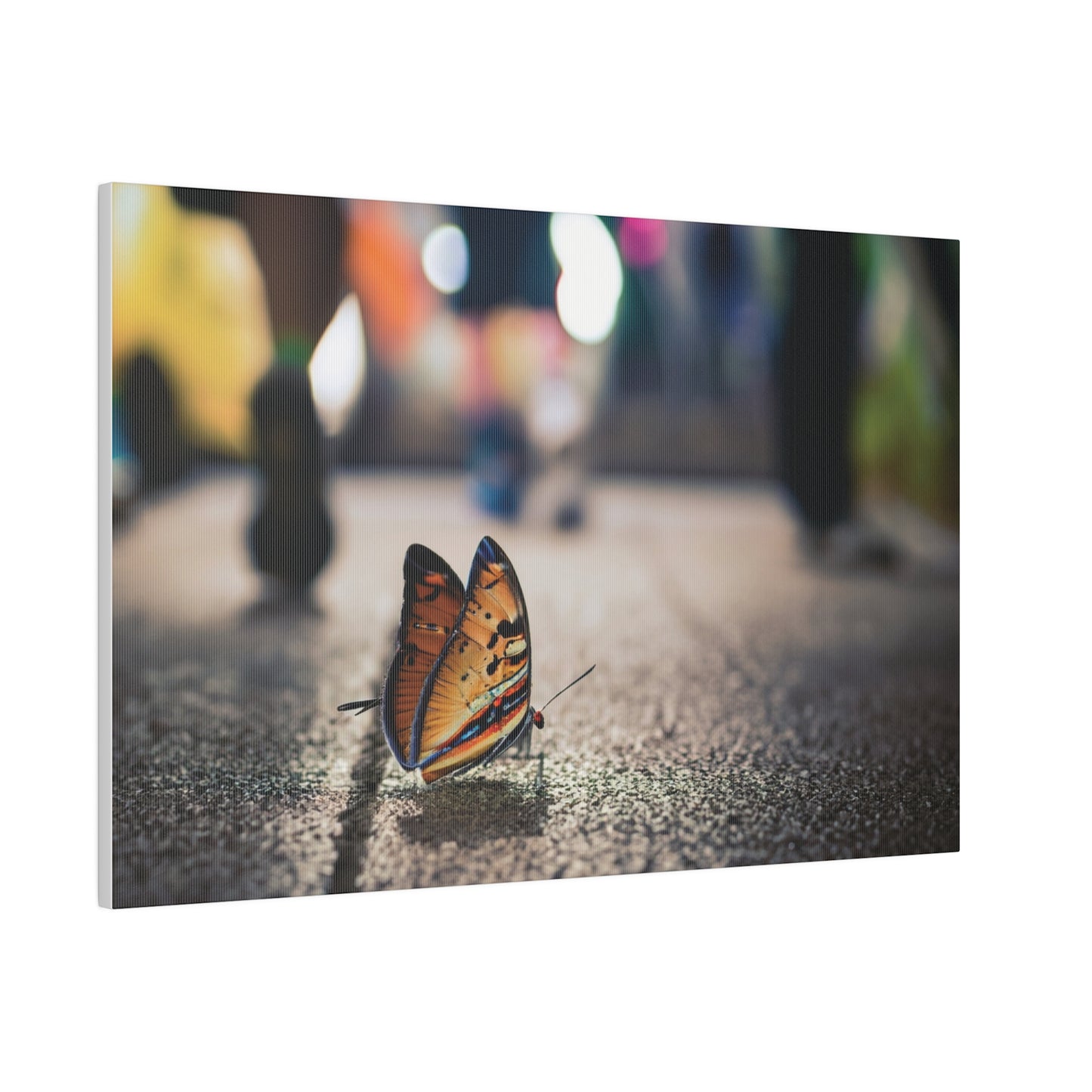 Graphic Design Butterfly on Sidewalk on Canvas