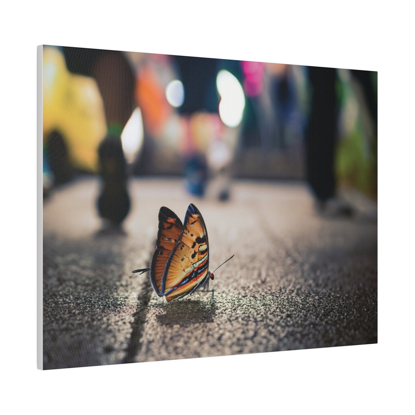 Graphic Design Butterfly on Sidewalk on Canvas