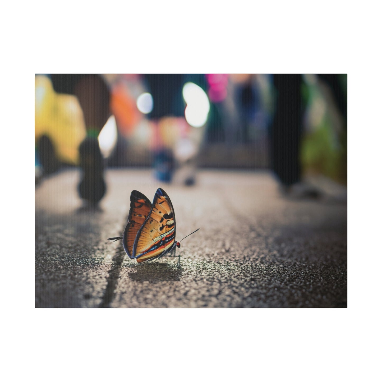 Graphic Design Butterfly on Sidewalk on Canvas