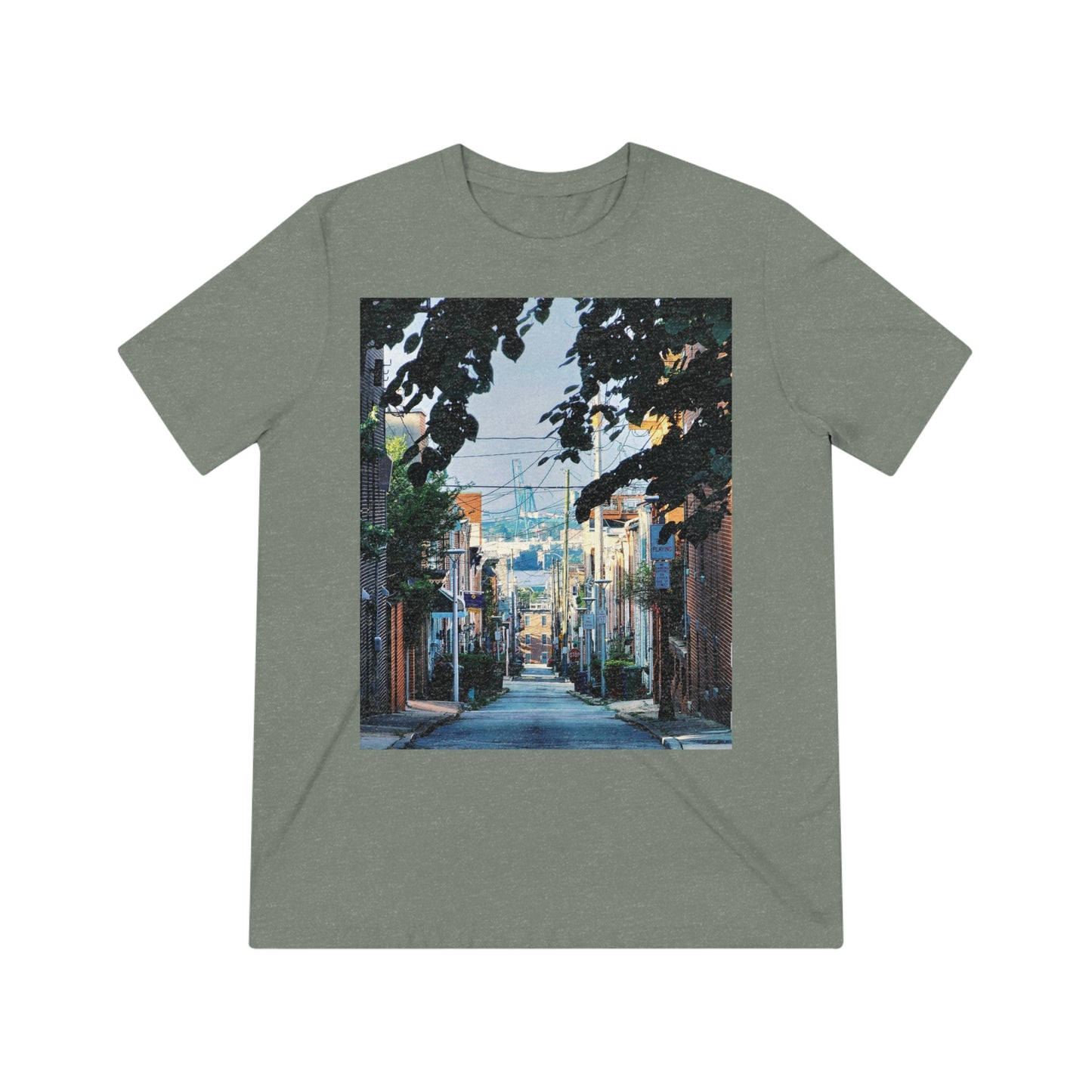 Baltimore City Highland Unisex ArtShirt