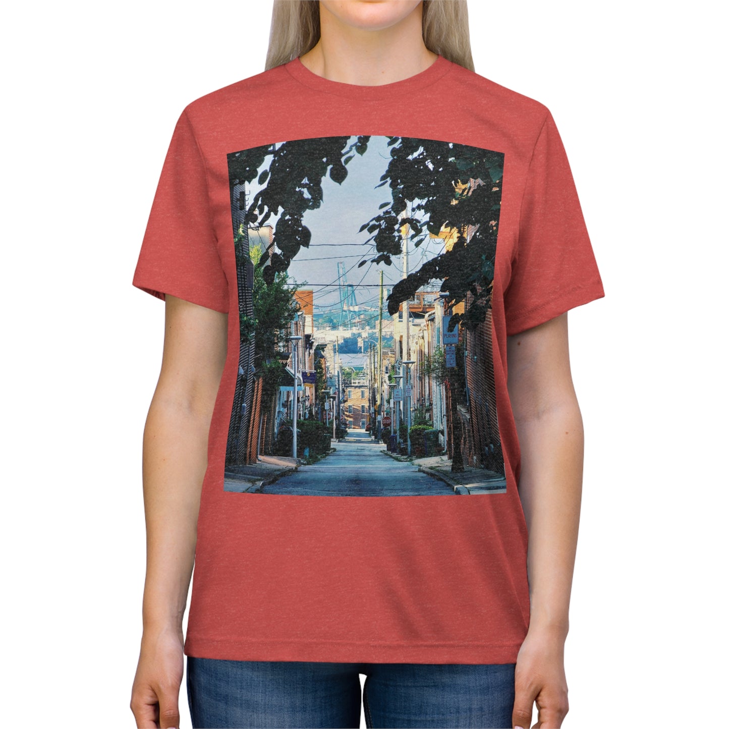 Baltimore City Highland Unisex ArtShirt